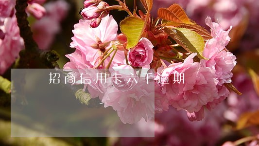 招商信用卡六千逾期 招商信用卡六千逾期
