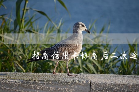 招商信用卡协商后二次逾期怎么办 招商信用卡协商后二次逾期怎么办