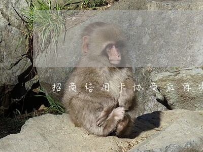 招商信用卡协商后再次逾期了4万 招商信用卡协商后再次逾期了4万