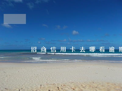 招商信用卡去哪看逾期记录 招商信用卡去哪看逾期记录
