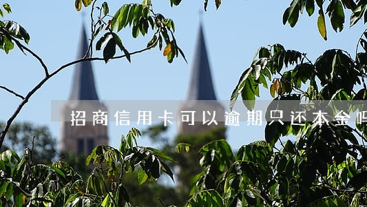 招商信用卡可以逾期只还本金吗