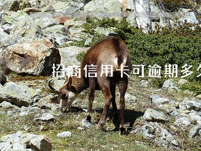 招商信用卡可逾期多久 招商信用卡可逾期多久