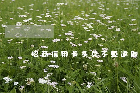 招商信用卡多久不算逾期 招商信用卡多久不算逾期