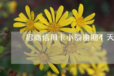 招商信用卡小额逾期4天