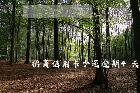 招商信用卡少还逾期4天 招商信用卡少还逾期4天