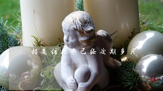 招商信用卡已经逾期多月 招商信用卡已经逾期多月