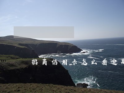 招商信用卡怎么看逾期
