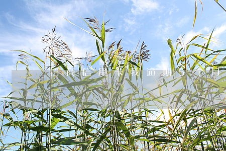 招商信用卡我逾期5个月 招商信用卡我逾期5个月