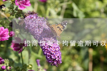 招商信用卡拘留逾期可以消除吗