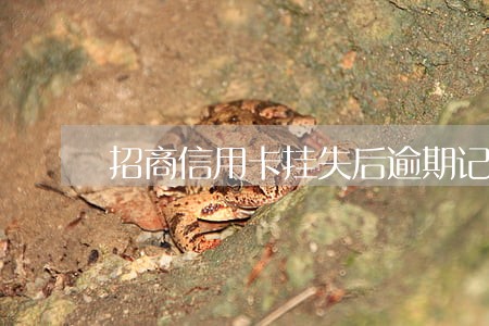 招商信用卡挂失后逾期记录 招商信用卡挂失后逾期记录