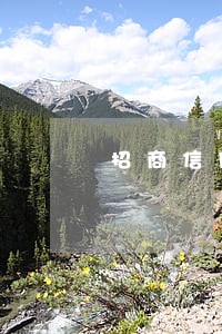 招商信用卡接到逾期回访了 招商信用卡接到逾期回访了