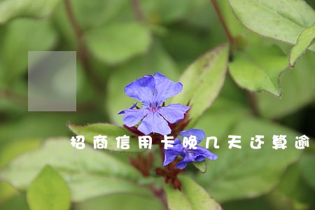 招商信用卡晚几天还算逾期 招商信用卡晚几天还算逾期