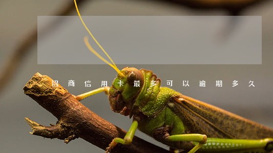 招商信用卡最多可以逾期多久 招商信用卡最多可以逾期多久