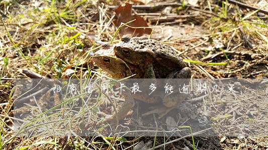 招商信用卡最多能逾期几天 招商信用卡最多能逾期几天