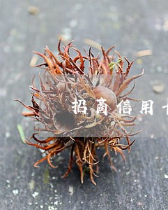 招商信用卡最迟可以逾期多久 招商信用卡最迟可以逾期多久