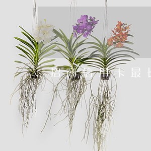 招商信用卡最长可逾期多久 招商信用卡最长可逾期多久