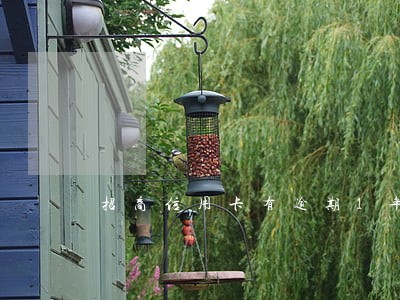 招商信用卡有逾期1年的吗 招商信用卡有逾期1年的吗