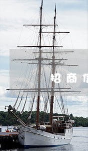 招商信用卡有逾期上征信吗 招商信用卡有逾期上征信吗