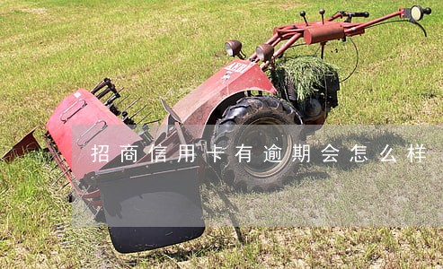 招商信用卡有逾期会怎么样