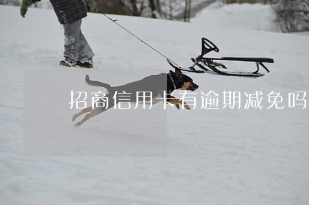 招商信用卡有逾期减免吗