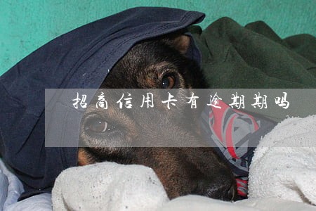 招商信用卡有逾期期吗 招商信用卡有逾期期吗