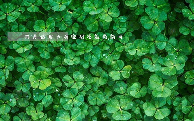 招商信用卡有逾期还能提额吗 招商信用卡有逾期还能提额吗