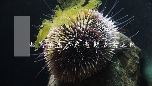 招商信用卡未逾期协商还款 招商信用卡未逾期协商还款