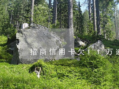 招商信用卡欠11万逾期五个月