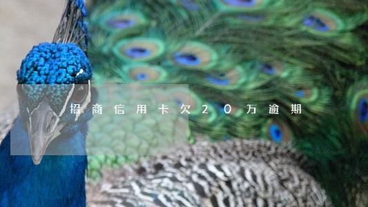 招商信用卡欠20万逾期 招商信用卡欠20万逾期