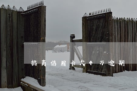 招商信用卡欠4万逾期 招商信用卡欠4万逾期