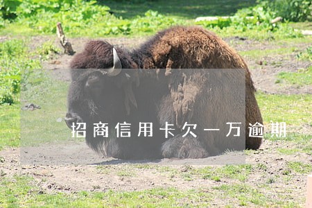 招商信用卡欠一万逾期