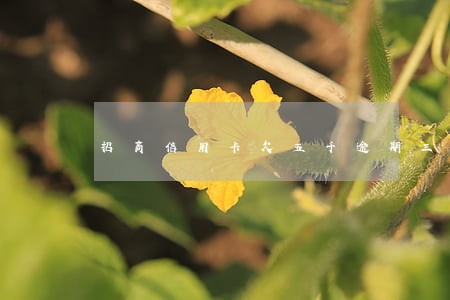 招商信用卡欠五千逾期三个月 招商信用卡欠五千逾期三个月