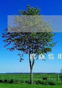 招商信用卡欠款1万逾期三个月