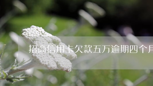 招商信用卡欠款五万逾期四个月 招商信用卡欠款五万逾期四个月