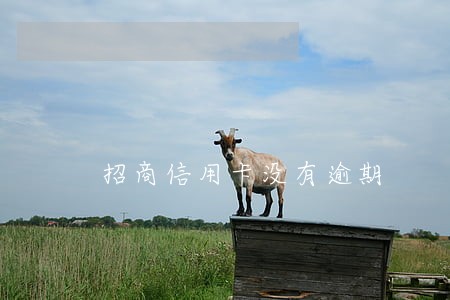 招商信用卡没有逾期 招商信用卡没有逾期