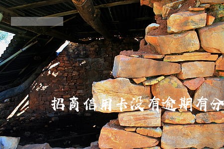 招商信用卡没有逾期有分期吗 招商信用卡没有逾期有分期吗