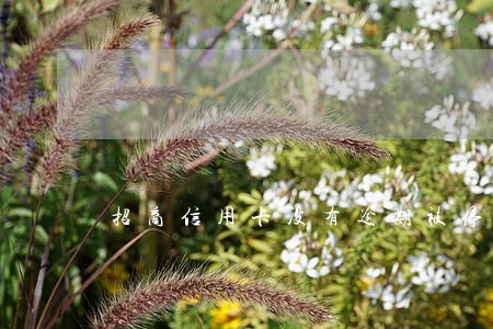 招商信用卡没有逾期被停用 招商信用卡没有逾期被停用