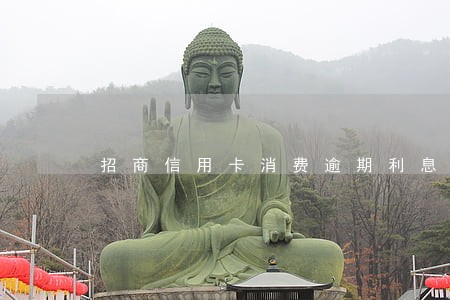 招商信用卡消费逾期利息 招商信用卡消费逾期利息