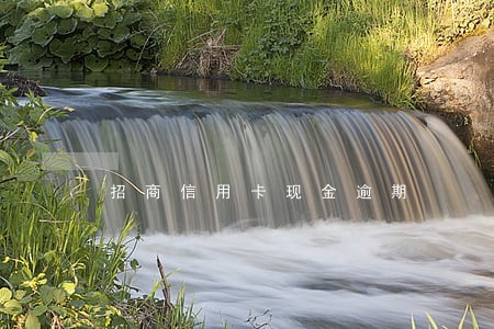 招商信用卡现金逾期 招商信用卡现金逾期