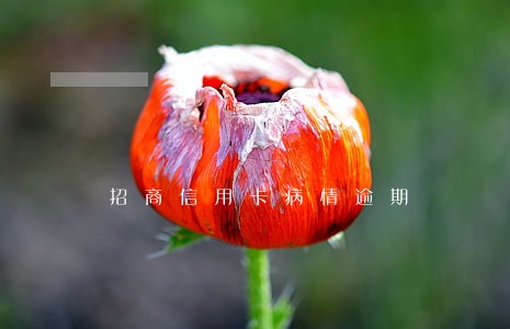招商信用卡病情逾期 招商信用卡病情逾期