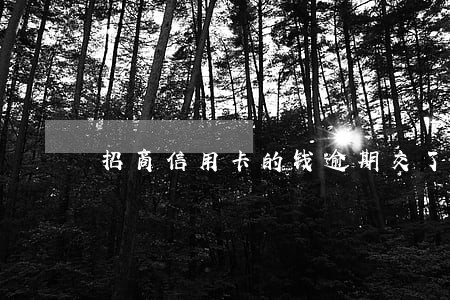 招商信用卡的钱逾期交了怎么办
