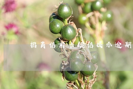 招商信用卡短信提示逾期 招商信用卡短信提示逾期