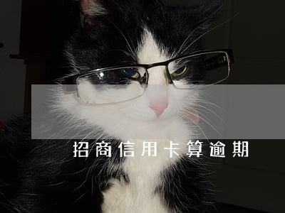 招商信用卡算逾期 招商信用卡算逾期