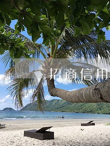 招商信用卡老提示逾期001
