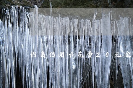 招商信用卡花费20元逾期了 招商信用卡花费20元逾期了
