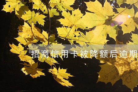 招商信用卡被降额后逾期 招商信用卡被降额后逾期