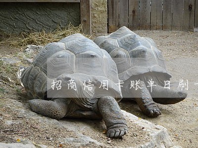 招商信用卡账单日刷卡算逾期吗