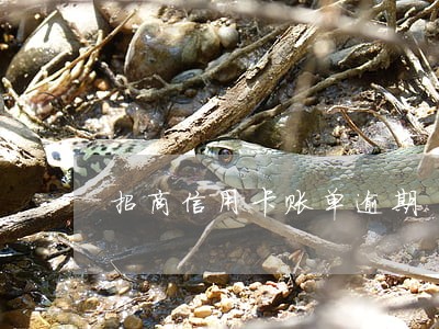 招商信用卡账单逾期 招商信用卡账单逾期