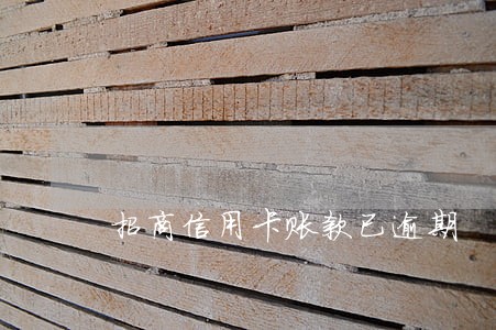招商信用卡账款已逾期 招商信用卡账款已逾期