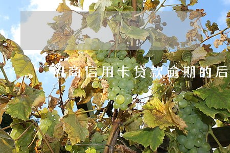 招商信用卡贷款逾期的后果 招商信用卡贷款逾期的后果